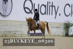 25BUCKEYE_08306 thumbnail