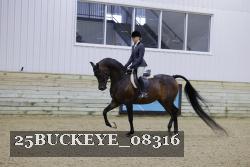 25BUCKEYE_08316 thumbnail