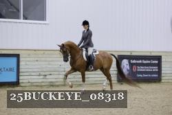 25BUCKEYE_08318 thumbnail