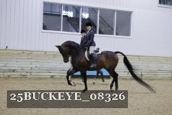 25BUCKEYE_08326 thumbnail