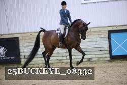 25BUCKEYE_08332 thumbnail