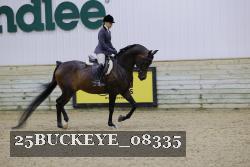 25BUCKEYE_08335 thumbnail
