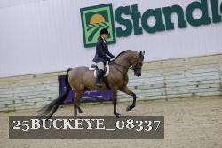 25BUCKEYE_08337 thumbnail