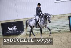 25BUCKEYE_08339 thumbnail