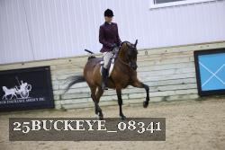 25BUCKEYE_08341 thumbnail