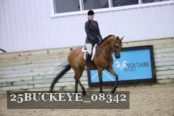25BUCKEYE_08342 thumbnail