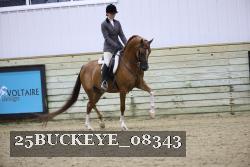 25BUCKEYE_08343 thumbnail