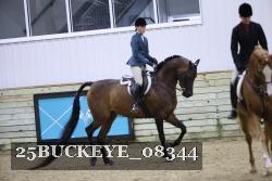 25BUCKEYE_08344 thumbnail