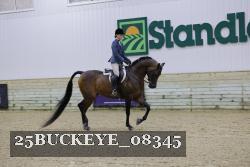 25BUCKEYE_08345 thumbnail