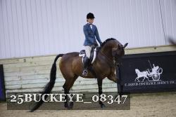 25BUCKEYE_08347 thumbnail