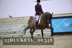 25BUCKEYE_08348 thumbnail