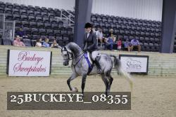 25BUCKEYE_08355 thumbnail