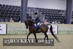 25BUCKEYE_08357 thumbnail
