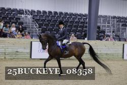 25BUCKEYE_08358 thumbnail