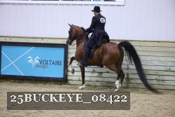 25BUCKEYE_08422 thumbnail