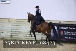25BUCKEYE_08423 thumbnail