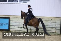 25BUCKEYE_08424 thumbnail