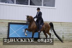 25BUCKEYE_08425 thumbnail