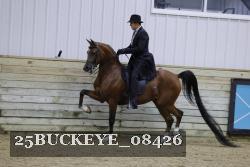 25BUCKEYE_08426 thumbnail