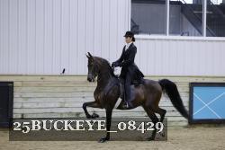 25BUCKEYE_08429 thumbnail