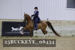 25BUCKEYE_08434 thumbnail
