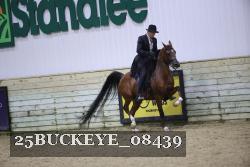 25BUCKEYE_08439 thumbnail