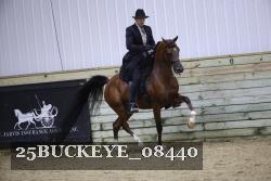 25BUCKEYE_08440 thumbnail