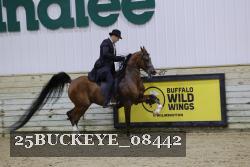 25BUCKEYE_08442 thumbnail