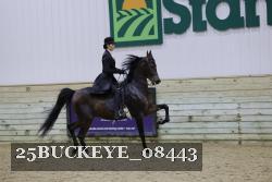 25BUCKEYE_08443 thumbnail