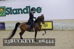 25BUCKEYE_08444 thumbnail