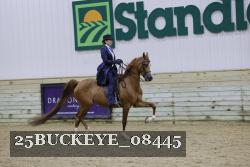 25BUCKEYE_08445 thumbnail