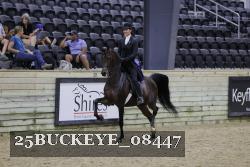 25BUCKEYE_08447 thumbnail