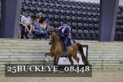 25BUCKEYE_08448 thumbnail