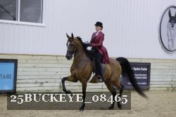 25BUCKEYE_08465 thumbnail