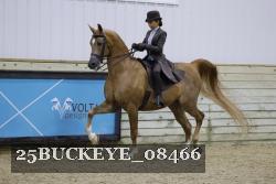 25BUCKEYE_08466 thumbnail