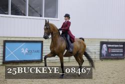 25BUCKEYE_08467 thumbnail