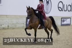 25BUCKEYE_08471 thumbnail