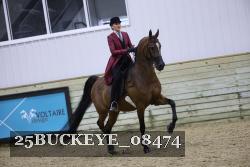 25BUCKEYE_08474 thumbnail