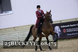 25BUCKEYE_08475 thumbnail