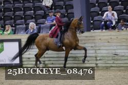 25BUCKEYE_08476 thumbnail
