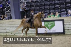 25BUCKEYE_08477 thumbnail