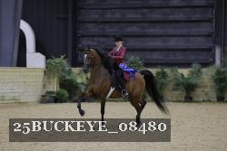 25BUCKEYE_08480 thumbnail