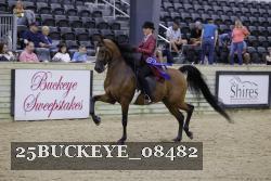 25BUCKEYE_08482 thumbnail