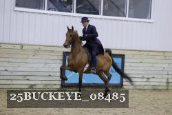 25BUCKEYE_08485 thumbnail