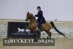 25BUCKEYE_08486 thumbnail