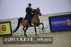 25BUCKEYE_08492 thumbnail