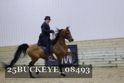 25BUCKEYE_08493 thumbnail
