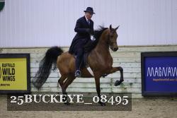 25BUCKEYE_08495 thumbnail