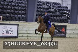 25BUCKEYE_08496 thumbnail
