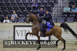 25BUCKEYE_08498 thumbnail